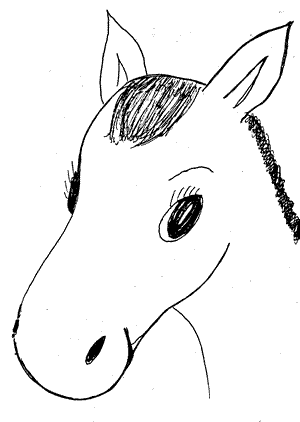 donkey